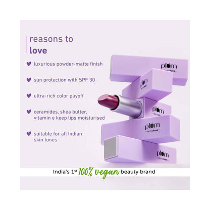 Plum Velvet Haze Matte Lipstick | Intense Color Long Lasting Smooth Finish